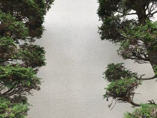羽生市 外壁施工後