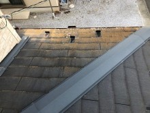 コケ 屋根 コロニアル