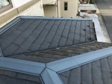 コケ 屋根