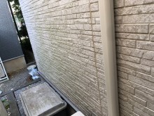 外壁 サイディング コケ