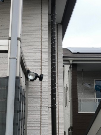 雨樋に有刺鉄線