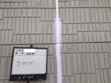 シール打ち込み 写真