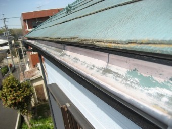 上尾市の雨樋現場調査
