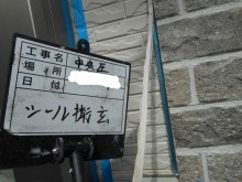 シール撤去 写真 中央区