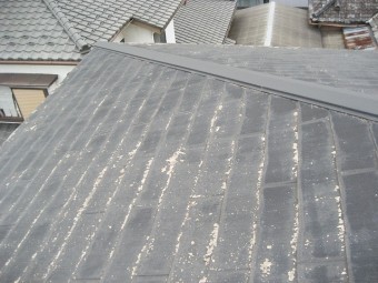 蓮田市で屋根の現場調査