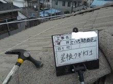 屋根釘打ち