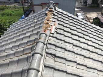 上尾市で屋根崩れの現場調査