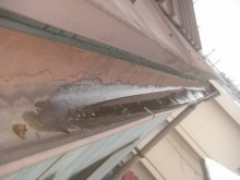 上尾市で外壁と雨樋の現場調査