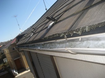 雨樋コケ スレート屋根にも 写真