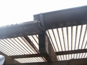 コケの重さで雨樋が破損