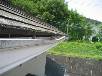 日高市の雨樋現場調査