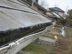 川島町で雨樋工事