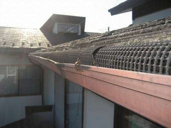 蓮田市 雨樋歪み写真