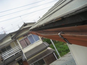 雨樋 土溜まり 写真