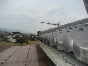 深谷市雨樋現場調査