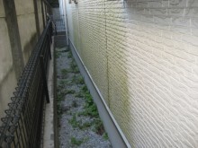 中央区 外壁 コケ
