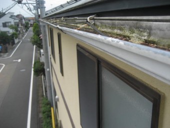 雨樋の変形