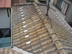 屋根 施工前 西区