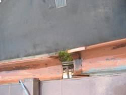 川越市で雨樋の施工事例