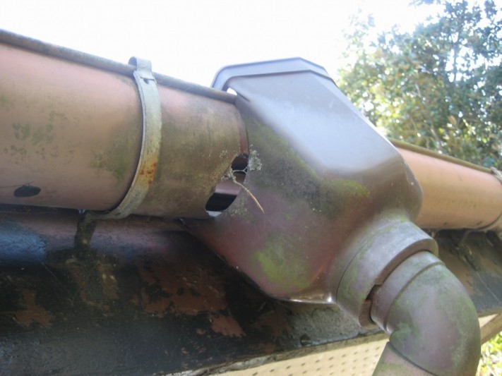 雨樋集水器破損の様子写真