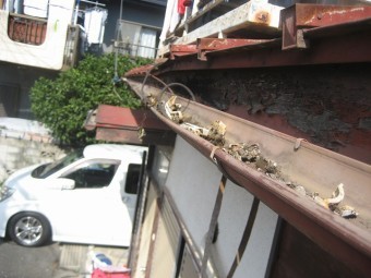 上尾市で雨樋の施工事例