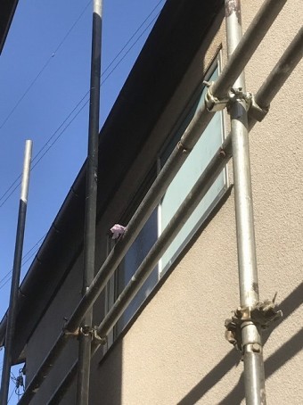 川越市で雨樋の施工中