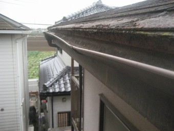 桶川市で雨樋と屋根の現場調査