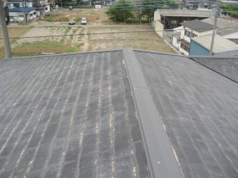 蓮田市で屋根の現場調査