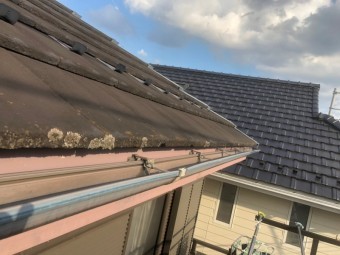 上尾市 屋根 苔だらけ
