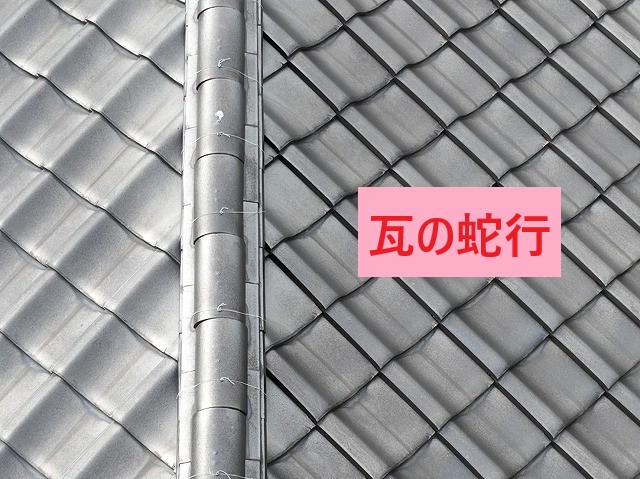 棟瓦の蛇行した様子