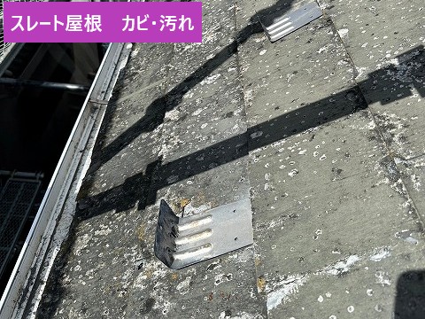 カビ汚れのある屋根