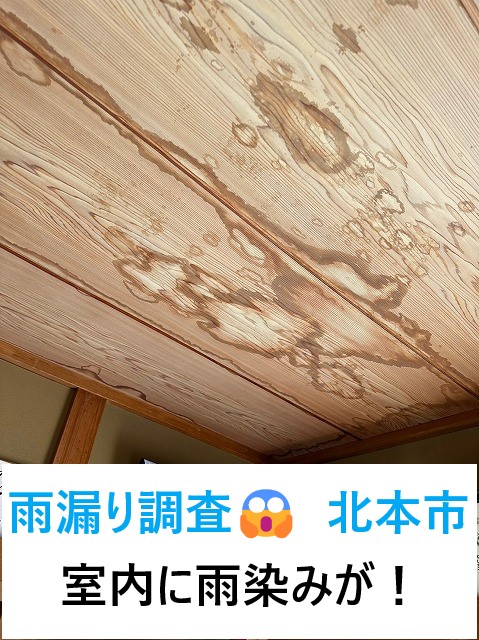 雨漏り発生😭室内に雨染みが多数！北本市で行った無料点検・調査！！