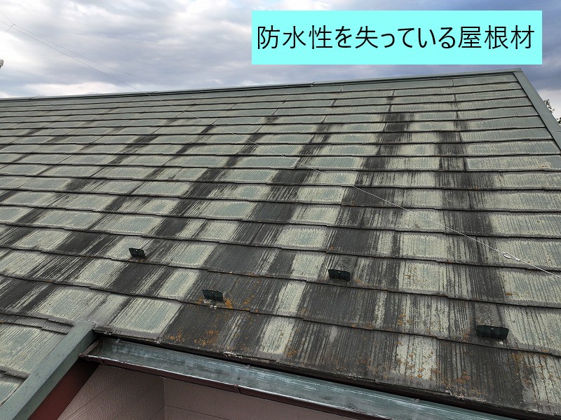 屋根の無料点検を実施