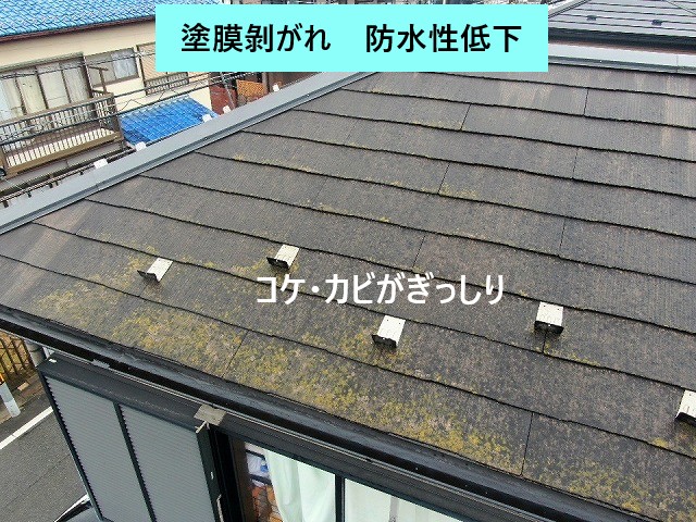 スレート屋根劣化