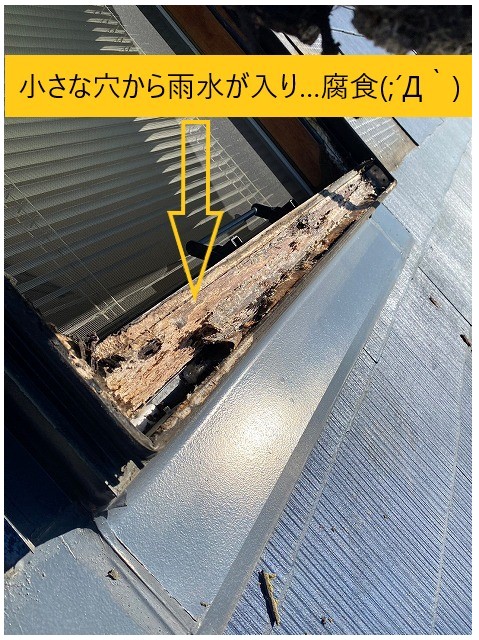 木材腐食