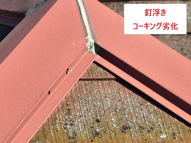 屋根工事会社の無料点検！ここまでやります(*'ω'*)