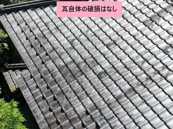 瓦には損はなし