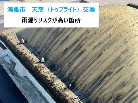 トップライト交換は、街の屋根やさん上尾店へ　お任せください♪