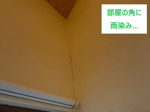室内角部の雨染み