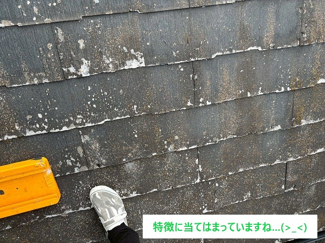 屋根工事！問題のあるパミールはどんな工事が最適？