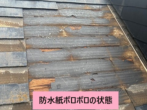 防水紙ボロボロ