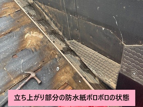 立ち上がり部分の防水紙劣化