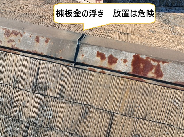 棟れっか