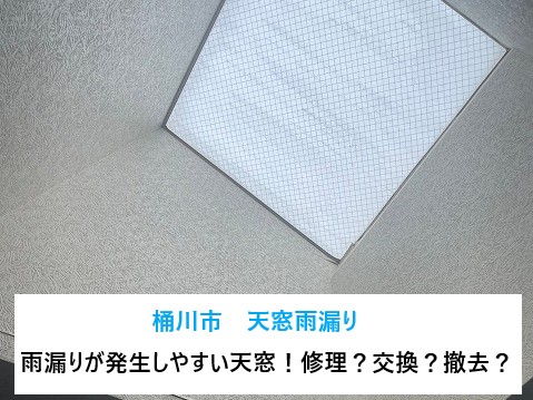 桶川市で天窓から雨漏り発生⤵耐用年数の過ぎた天窓は雨漏りリスクが高まります！