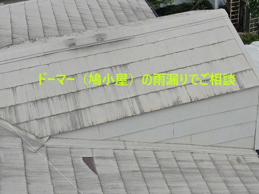 ドーマー（鳩小屋）の屋根を一部葺き替え工事
