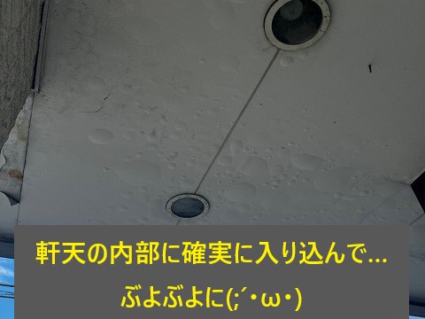 飲食店の屋根から雨漏り　原因追及で応急措置