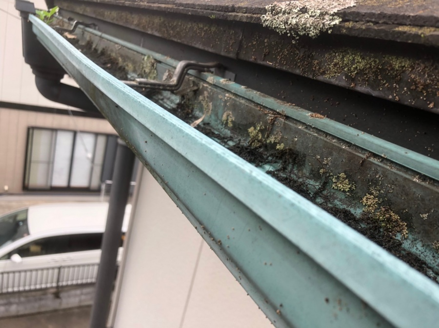 伊奈町 雨樋のコケ 屋根のコケ