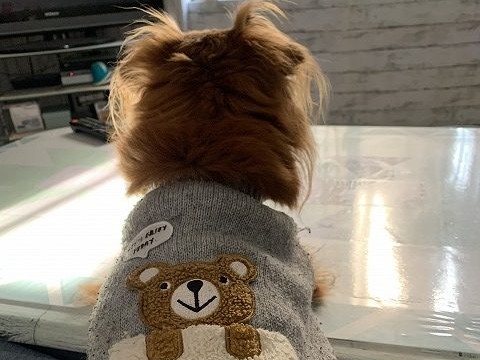 上尾市で外壁塗装工事を行ったお客様よりお言葉をいただきました♪