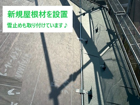新規屋根材を設置♪