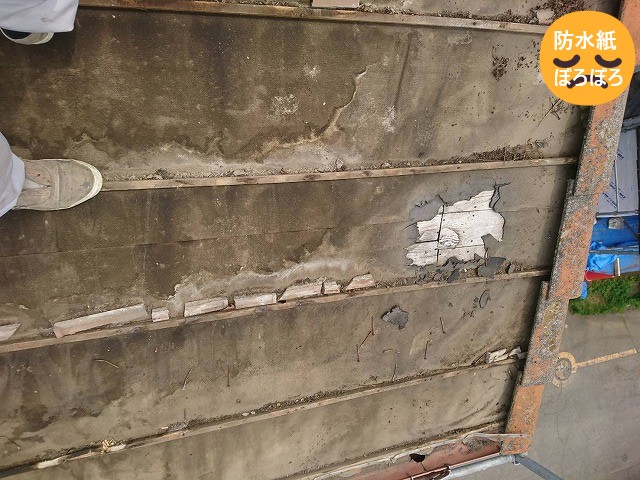 防水紙ぼろぼろ